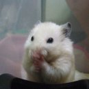 금강컴퍼니 이미지