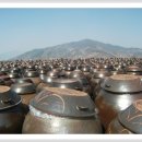 일박이일 B 이미지