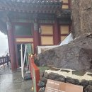 섬진강 | 구례 사성암 오산 사찰 섬진강뷰 주차 셔틀버스 후기