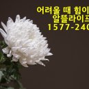 천명상조