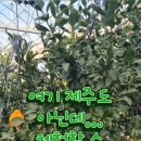 행정3길 이미지