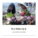 하나개해수욕장 : 아이와 함께한 포내어촌체험마을 갯벌체험 물때, 준비물, 체험 후기