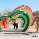 청도레일바이크 이미지