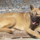 시커먼스 이미지