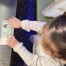 육갑선생 이미지