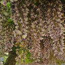 순천동산중학교 이미지