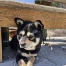 퀸즈승마장 이미지