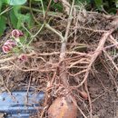 햇님농장 이미지