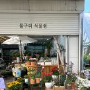 세븐일레븐고양원당로점 | 경기도 샤스타데이지 명소, 고양시 물구리빵집 아이랑 재방문 후기❤️