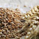 여성전용 24시 미사PT 필라테스 디펜스짐 이미지