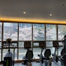 벨로시티 휘트니스 시청점 이미지