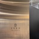 [서울/성동구] 성수동 미용실 헤어 컨설팅 맛집 ‘시드더뷰티 본점’ : 레이어드 C컬펌 서린 디자이너 후기