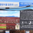 바람길 | 석모도 여행 , 강화나들길 11코스 (석모바람길). 칠면초군락지 ↔ 민머루 해변,짧지만 풍경은 충분하더라