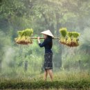 (주)반도통상 이미지