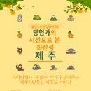 제주 달밤 이미지