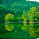 화원119안전센터 이미지