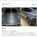 곰세차 이미지