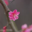 인공지능과 인간의 미래 이미지