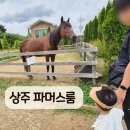 풀잎어린이집 - 서구 | 상주 파머스룸 아이랑 가볼만한곳, 33개월 아기 동물 먹이체험 후기