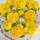 아이올라 이미지