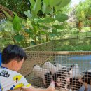 히든빌리지 이미지