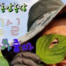 만땅농장 이미지