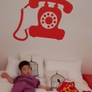 고창코지테마펜션 이미지