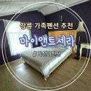 마이앤트세라 이미지