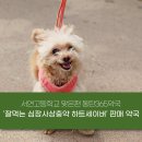 동탄우리약국 이미지