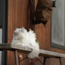 소소한민박 이미지