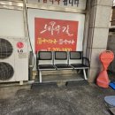 백암느티나무 이미지