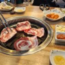 도구염소프라자 이미지