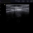현대통통의원 이미지