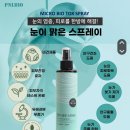 피엔엘