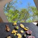 일월관광농원캠핑 이미지