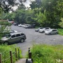 임천 가림성 느티나무 이미지