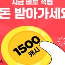 제일피드 이미지