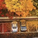 한일전문정비공업사 이미지