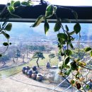 내서읍689 이미지