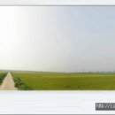 송탄농협고덕지점 이미지