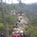 동산계곡 주차장 이미지