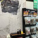 더펫(The Pet) | 니즈더펫 인터라켄 Y형 패드 강아지 하네스 브랜드 추천 NTP Needs The Pet 펫페어 내돈내산 후기