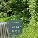 파주옥돌캠핑장 이미지
