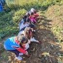 은하어린이집 이미지