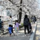 더 머물다 이미지