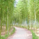 구례의길(섬진강길) 이미지