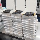 선비꼬마김밥 면목점 이미지