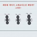 개미 - 33287 | 개미