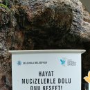 나비부화장 이미지