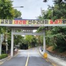 원도태권도장 이미지